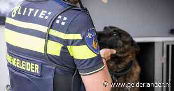 Massale vechtpartij bij jeugdvoetbalwedstrijd in Den Haag, agenten zetten politiehond in
