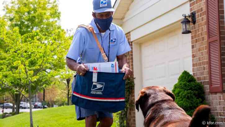 Which US city has the most mail carriers bitten by dogs?