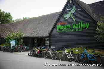 Moors Valley country park applies for drinks licence