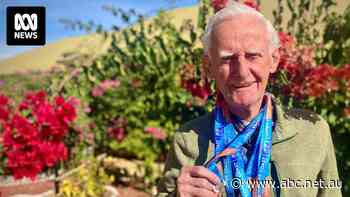 'The older I grow, the faster I go': Percy took up running at 92 and age hasn't kept him from athletic success