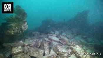 Cheviot shipwreck discovery