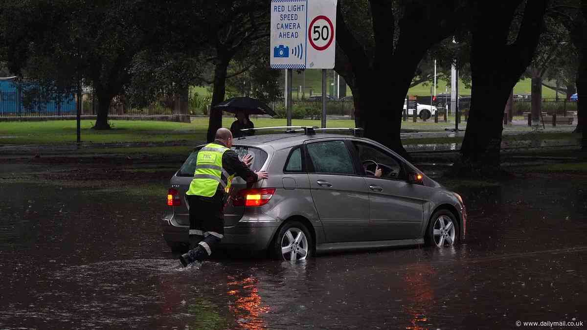More than a month's worth of rain pummels Sydney in less than 24 hours