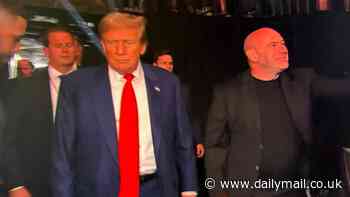 Donald Trump gets standing ovation at New Jersey UFC fight days after former president's historic felony convictions