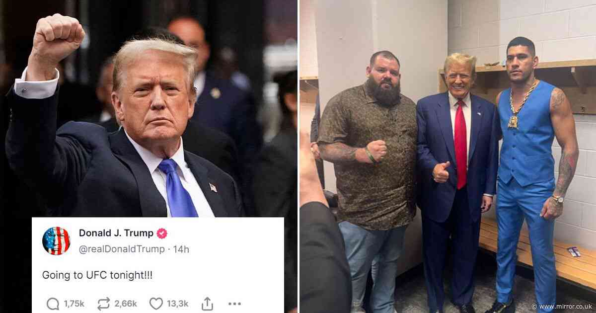 Donald Trump seen for first time since Stormy Daniels' interview as ex-President attends UFC