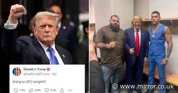 Donald Trump seen for first time since Stormy Daniels' interview as ex-President attends UFC