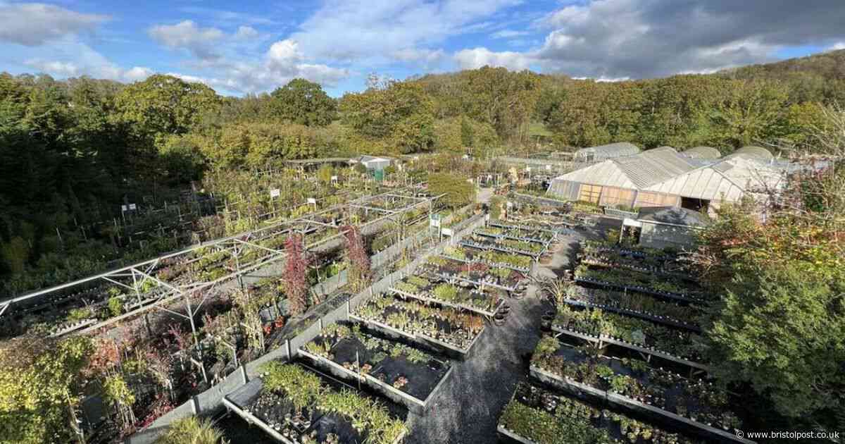 Garden centre with 'huge scope to grow' up for sale