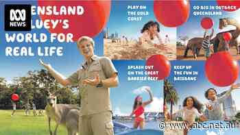 Queensland looks to Bluey to boost tourist numbers