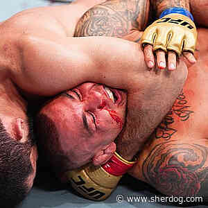 Pictures: UFC 302