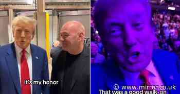 Donald Trump joins TikTok at UFC 302 just hours after Stormy Daniels' Mirror interview