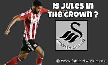 Swansea City : Zak Jules in profile