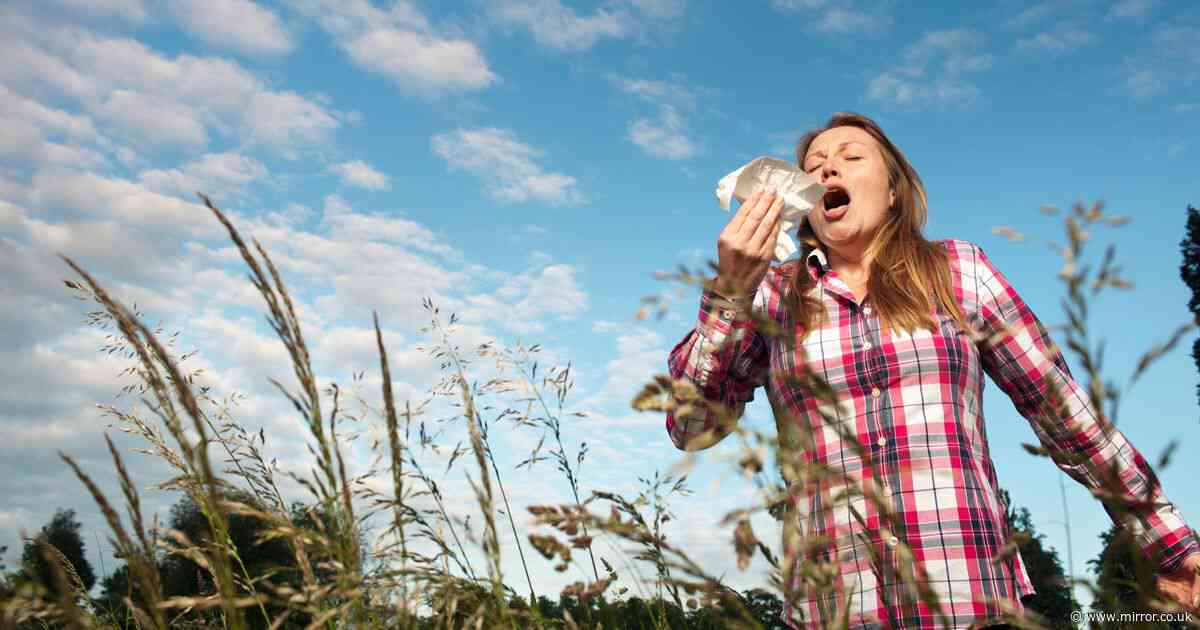 Hay fever or a cold? Three tell-tale symptoms to look out for - and how to treat it