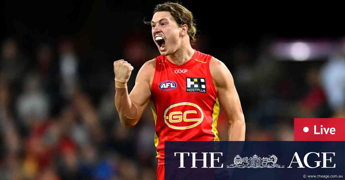 AFL 2024 round 12 LIVE updates: Suns scorch Bombers to climb into the top eight; Reid cops two-match ban, out of Rising Star contention