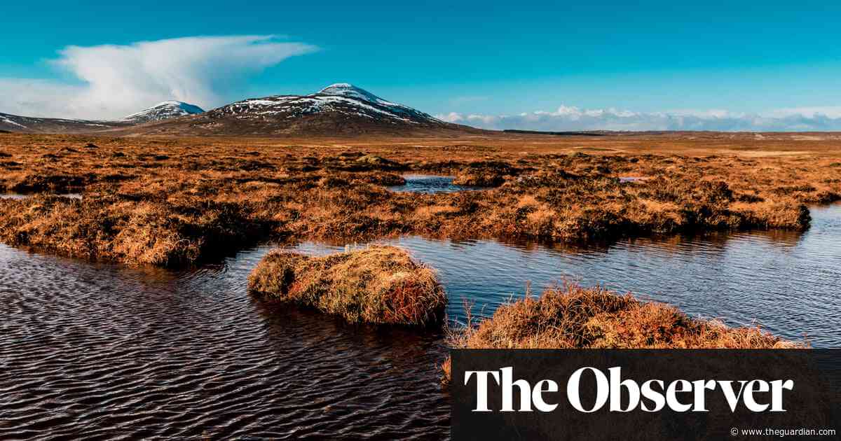 Scotland’s remote land of bogs and bugs in line for world heritage status