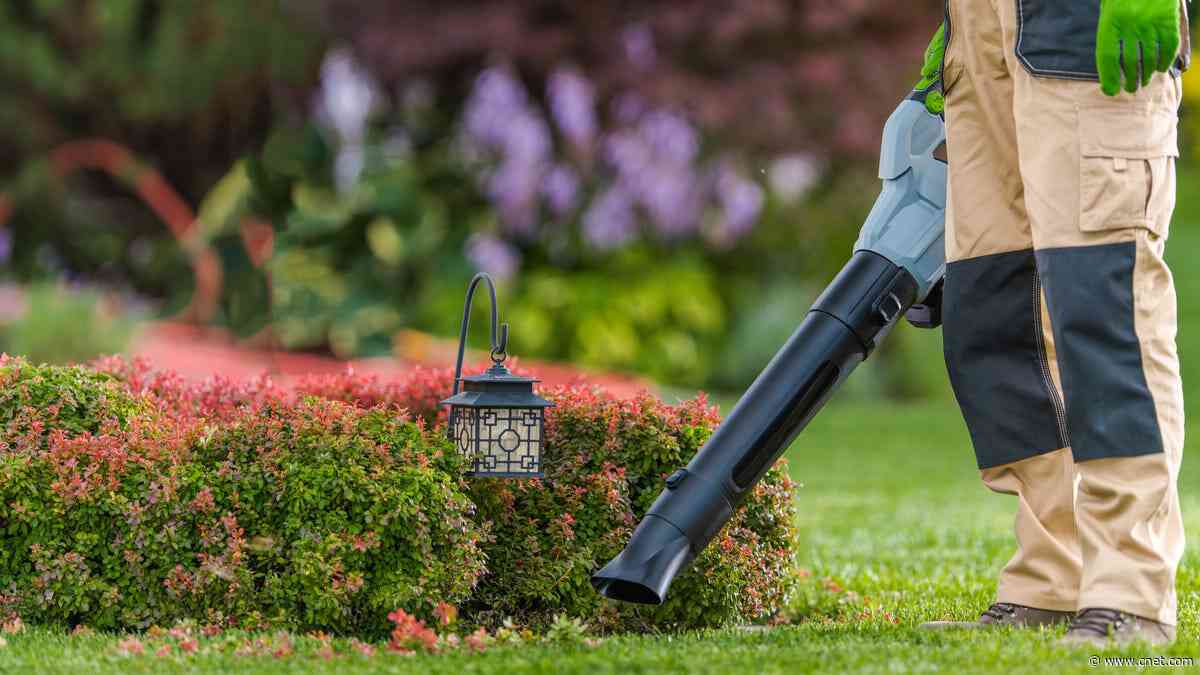 Best Leaf Blowers for 2024     - CNET