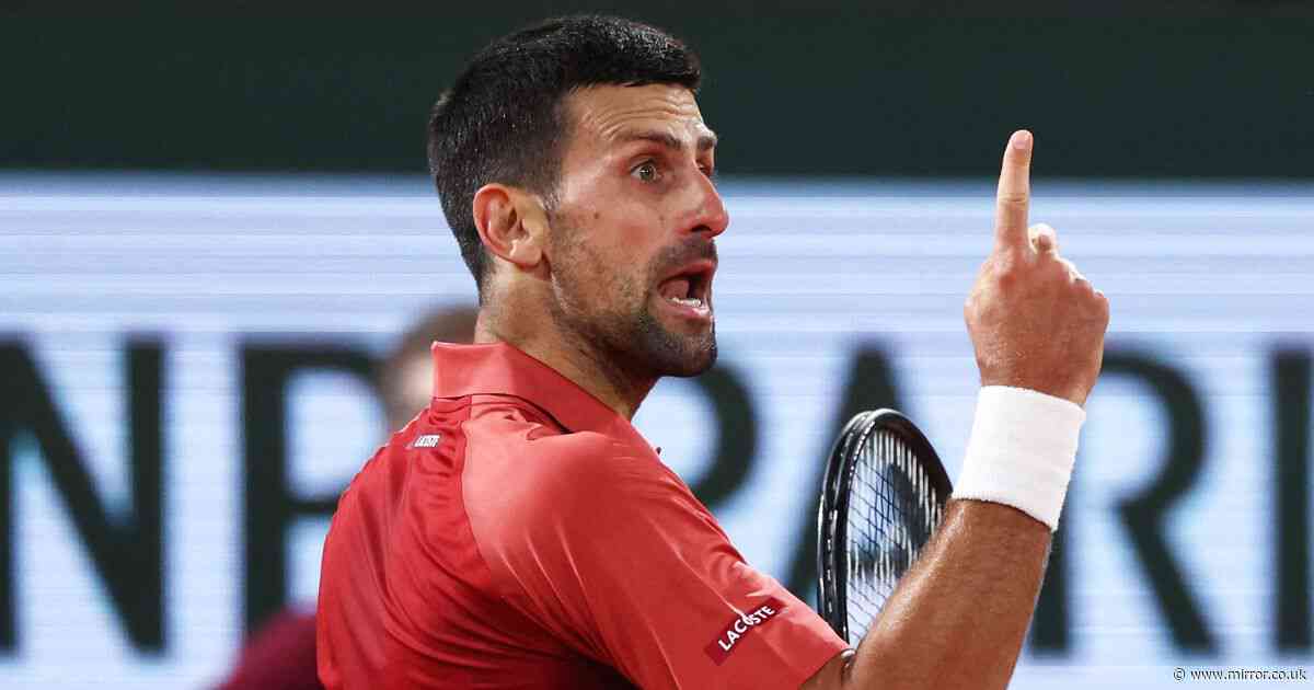Novak Djokovic clashes with French Open umpire during victory secured at 3.07am