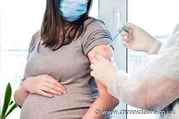 Whooping Cough - what pregnant women need to know about vital vaccine as cases rocket in UK