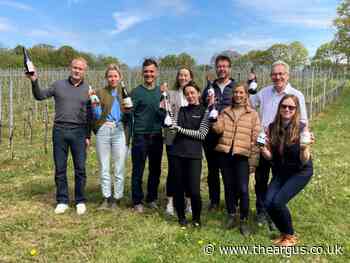 Sussex wine vineyard trails open across East Sussex