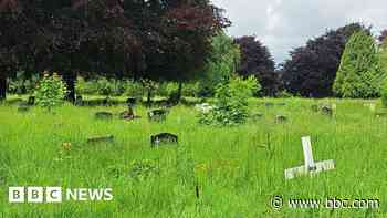 Complaints over 'shocking' overgrown cemetery