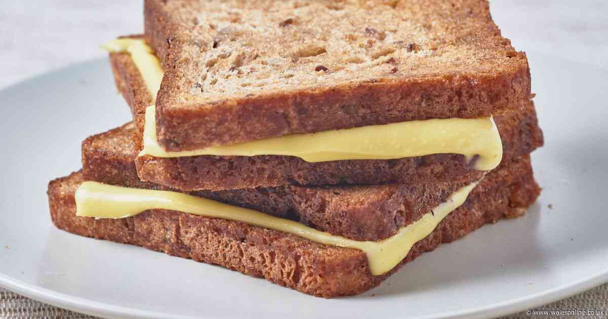 Clever sandwich toaster hack prevents mess and stops melted cheese spilling out