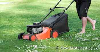 You've been mowing lawn all wrong – expert shares 'life-changing' method for grass