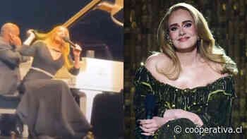 "¿Eres estúpido?": Adele explotó contra fanático durante un concierto