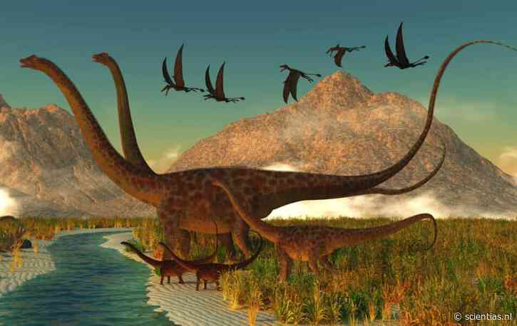Van T. rex naar roodborstje: nieuwe dino-fossielen met schubben én veren tonen hoe dat is gegaan