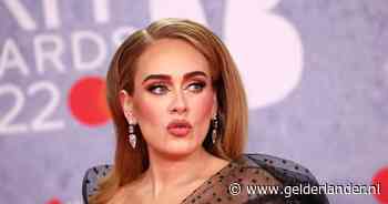 Adele haalt uit naar concertbezoeker na anti-Pride-opmerking: ‘Ben je niet goed bij je hoofd?’