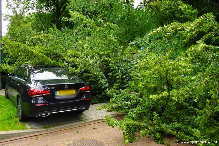 Omgevallen boom zorgt voor veel schade aan auto’s