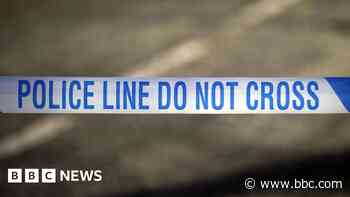 Man dies after firing a gun in town centre