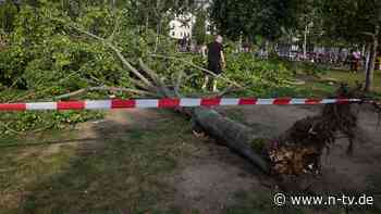 Drei Verletzte im Mauerpark: Baum stürzt auf Menschengruppe in Berlin