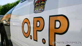 OPP officer assaulted during call to suspicious vehicle in Severn Township