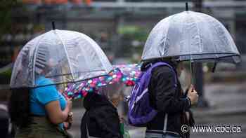 Heavy rain forecast for Lower Mainland prompts rainfall warning