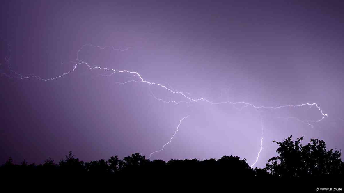 Schutz unter Baum gesucht: Blitzeinschlag in Tschechien sorgt für mehrere verletzte Kinder