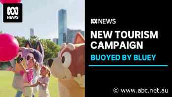 Bluey to feature in the Queensland government's $9 million tourism campaign