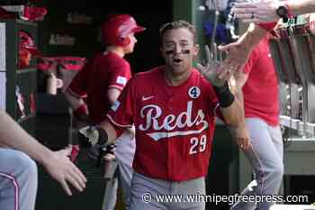 TJ Friedl hits a 3-run homer as the Reds beat the slumping Cubs 5-2