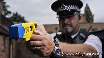Police officers could be left 'defenceless' because monopoly supplier of Tasers is aggressively driving up prices, police chiefs fear