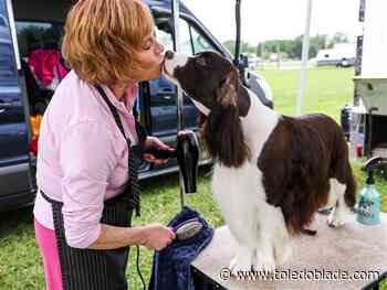 Photo Gallery: Toledo Kennel Club’s annual All-Breed Dog Show