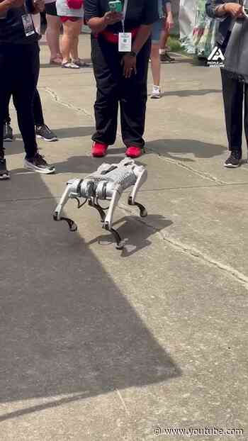 This robo-pup's stealing the show!