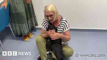 Owner reunited with lost dog after three weeks