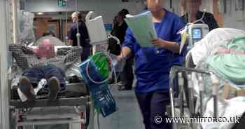 Nurses' union leader declares 'national emergency' as patients die in hospital corridors