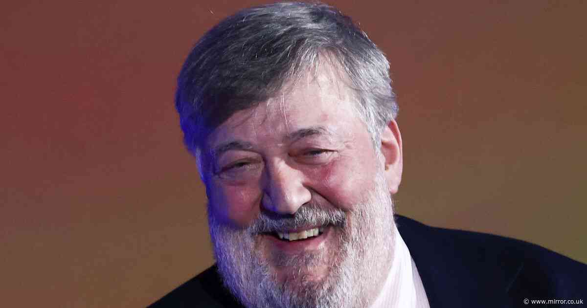 Labour has 'historic' chance to end or reduce private NHS contracts, Stephen Fry says
