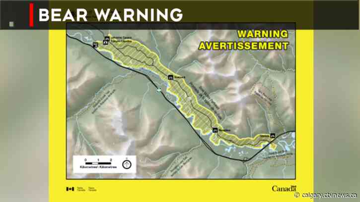Parks Canada issues bear warning for Bow Valley Parkway