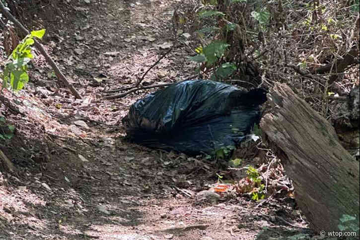 ‘What are the chances that you’re running into a bear in a bag?’: Arlington woman speaks on gruesome discovery