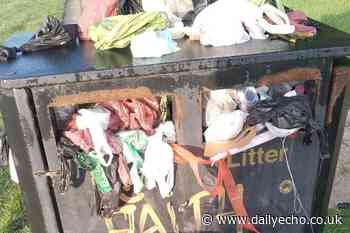 Overflowing bin near school a 'health hazard', claims resident