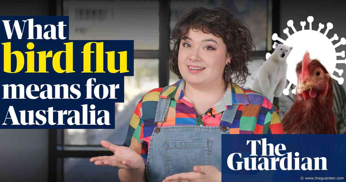 There's more than one bird flu: what recent outbreaks mean for Australia – video