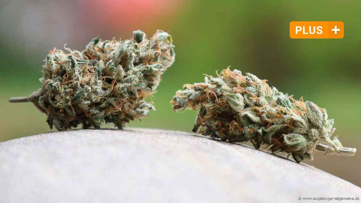 Es braucht zur Cannabis-Legalisierung mehr Prävention