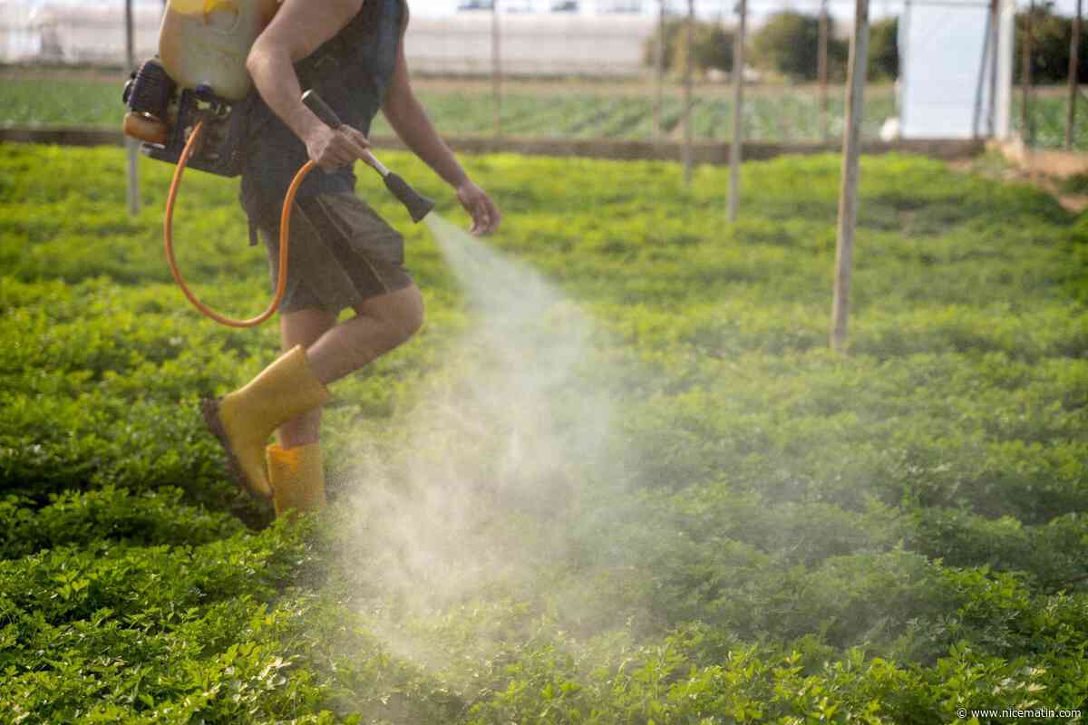 Pesticides, herbicides... Comment cette association aide les professionnels malades à obtenir réparation