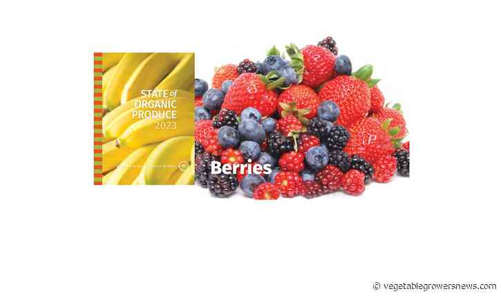 Berries now king of fresh organic produce sales
