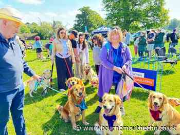 Dogstival: Thousands of fluffy dogs flock to festival