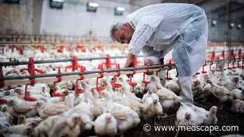 Bird Flu Affects Third Farm Worker; Risk to Public Still Low